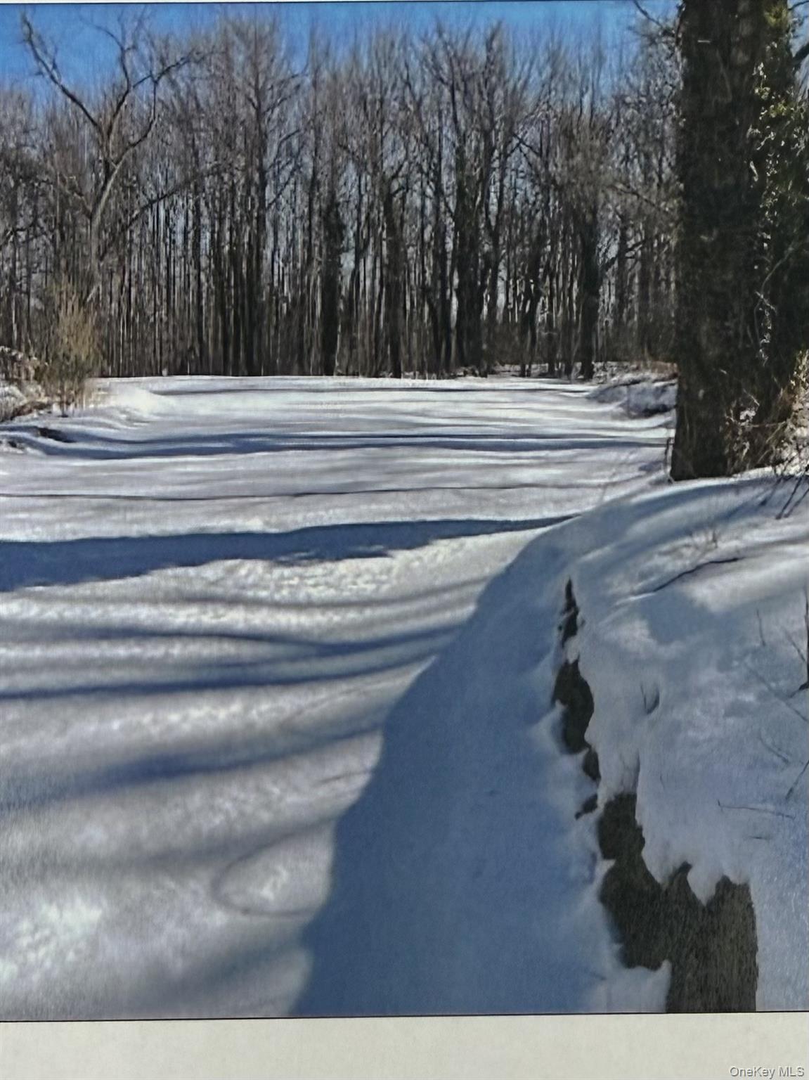 Lot #6 and #7 Plainview Road