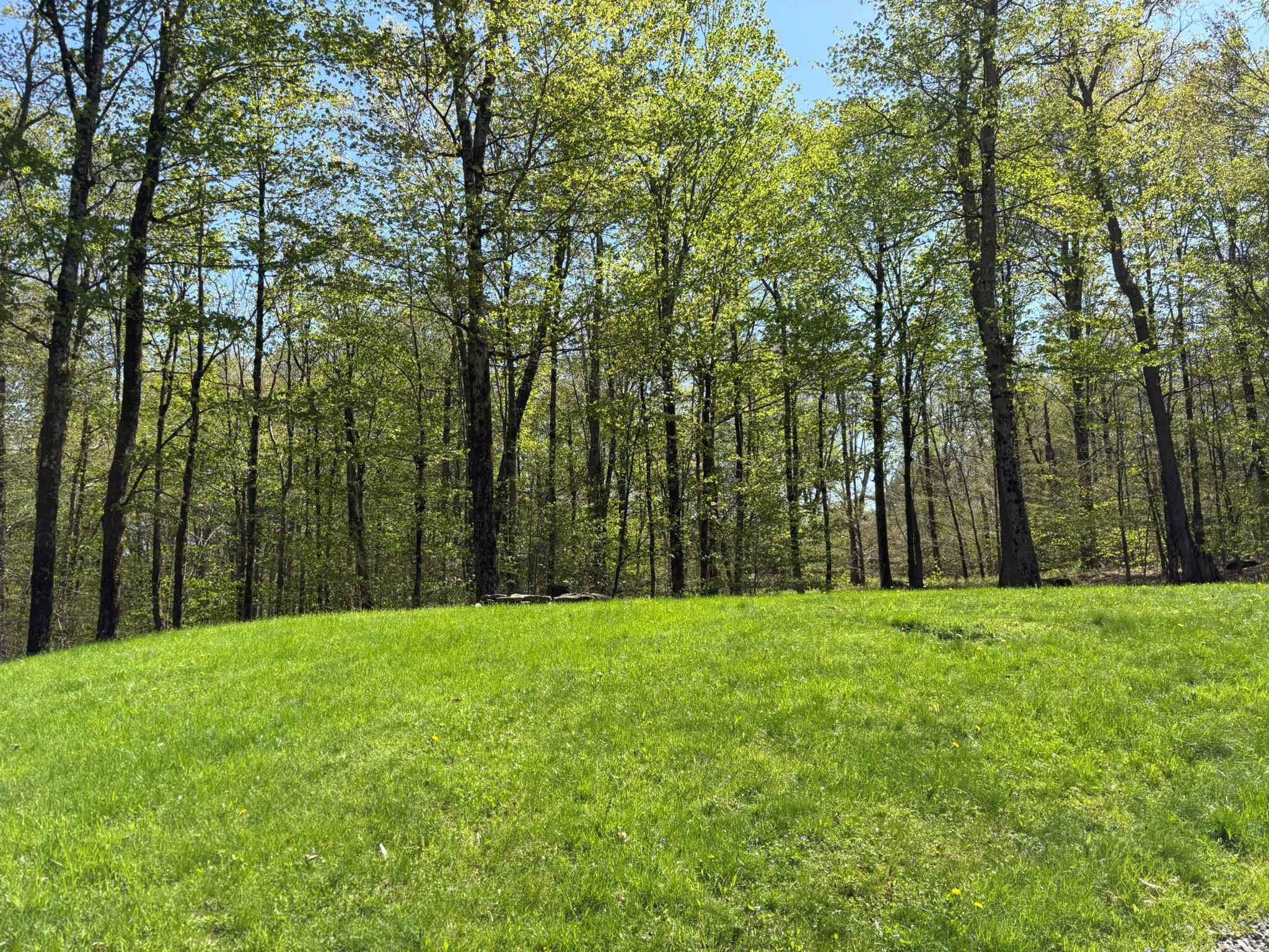 456 Anderson Road, Parksville, New York image 46