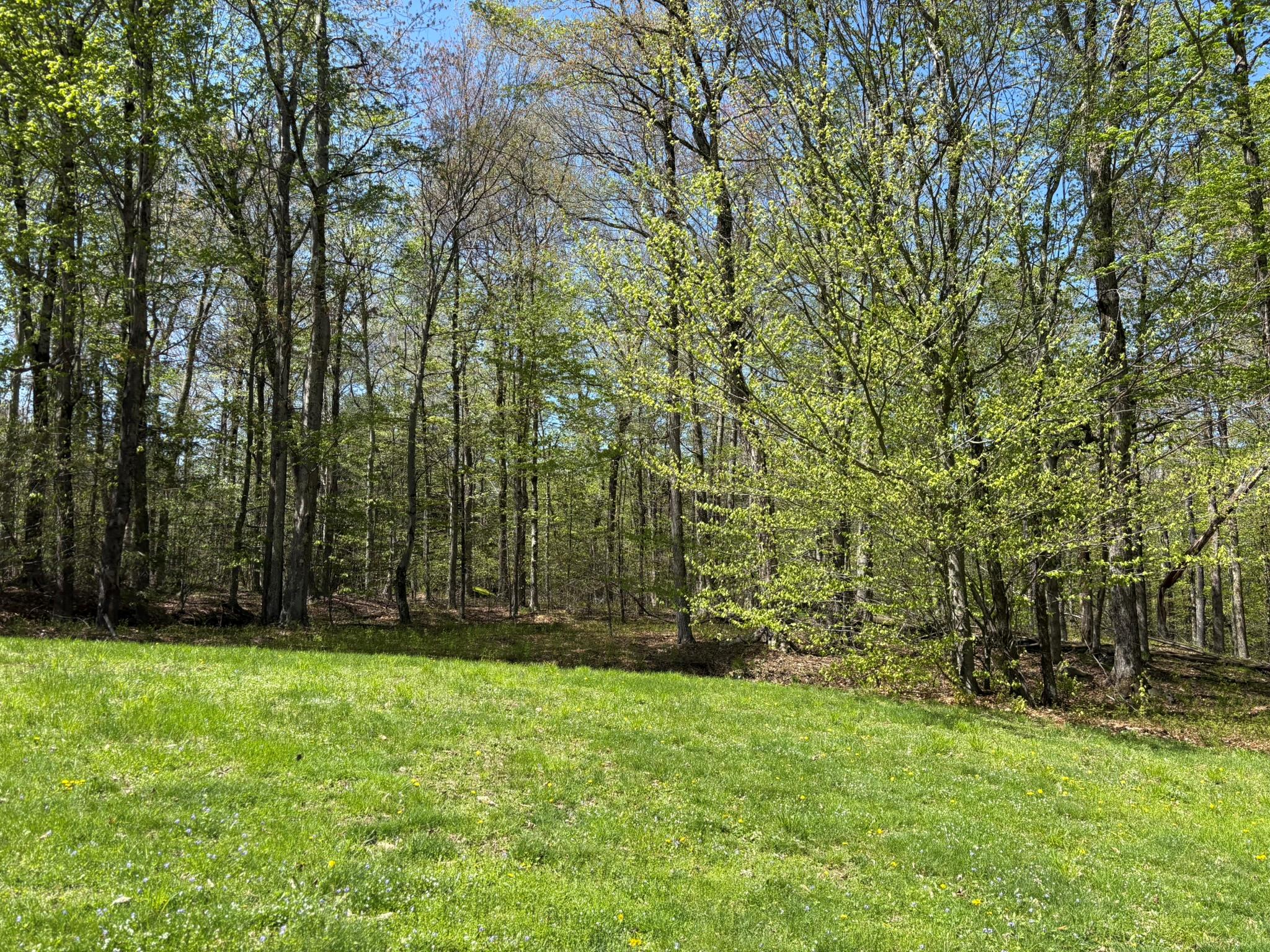 456 Anderson Road, Parksville, New York image 47