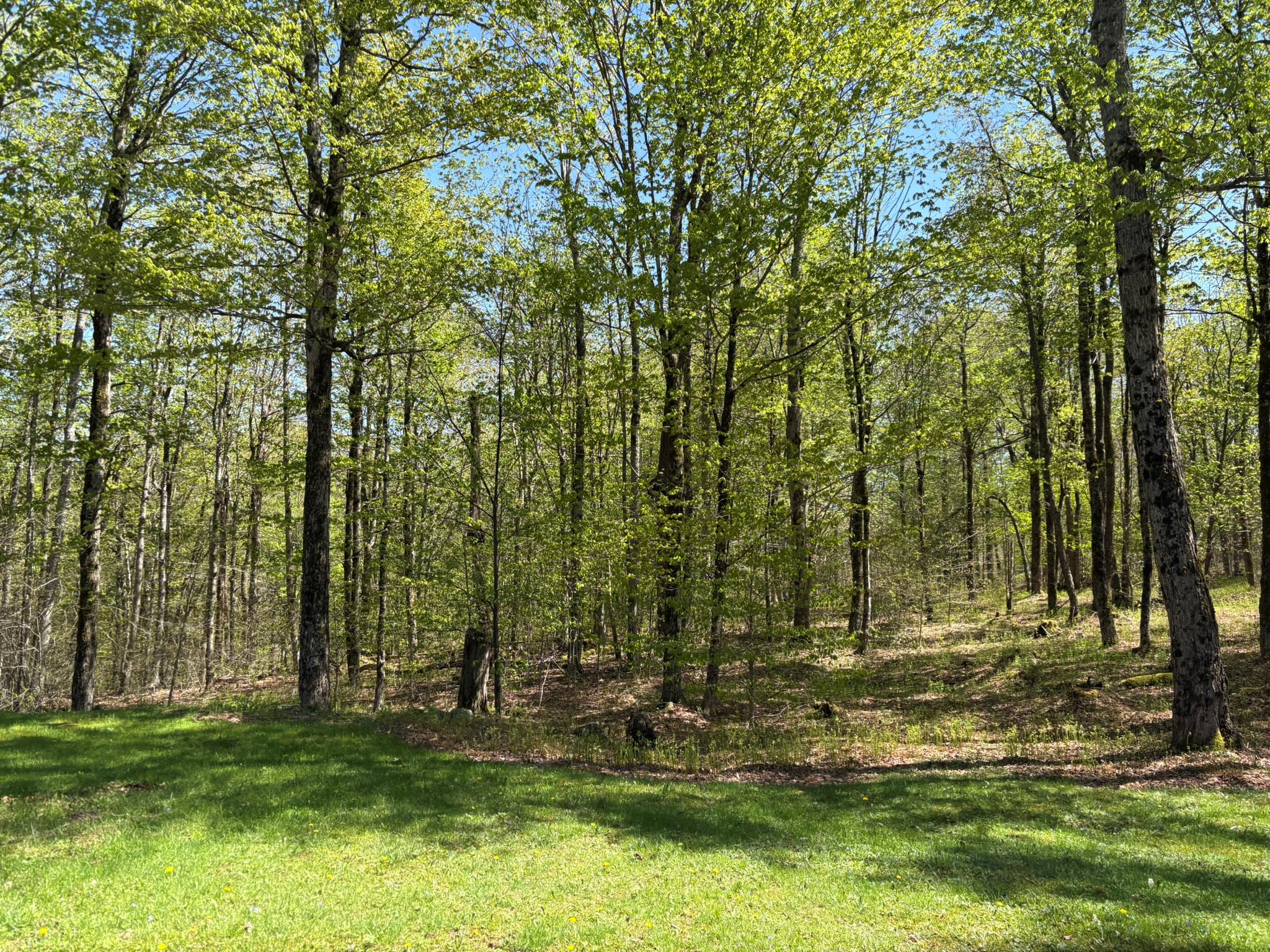 456 Anderson Road, Parksville, New York image 38