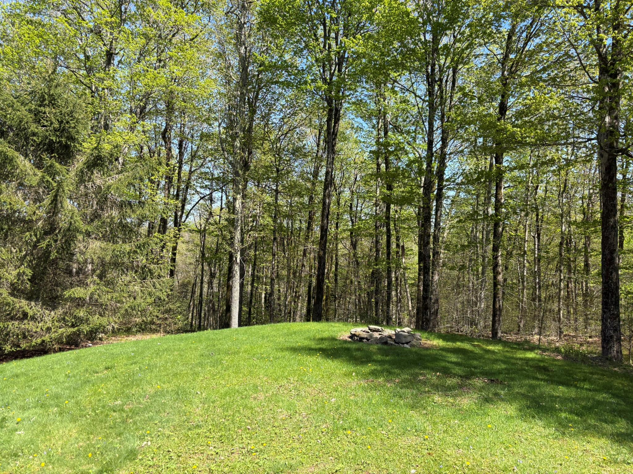 456 Anderson Road, Parksville, New York image 39