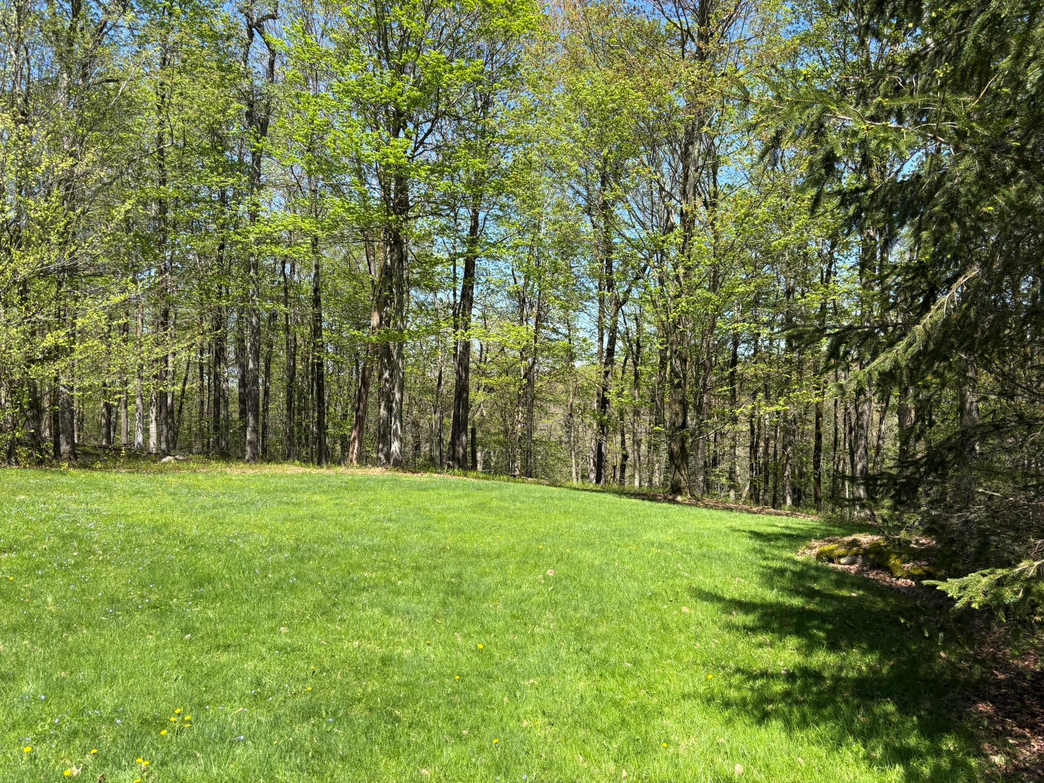 456 Anderson Road, Parksville, New York image 45