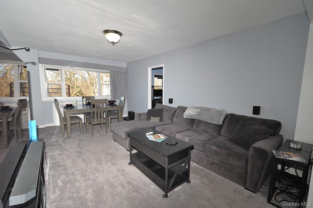 111 E Hartsdale Avenue 7E