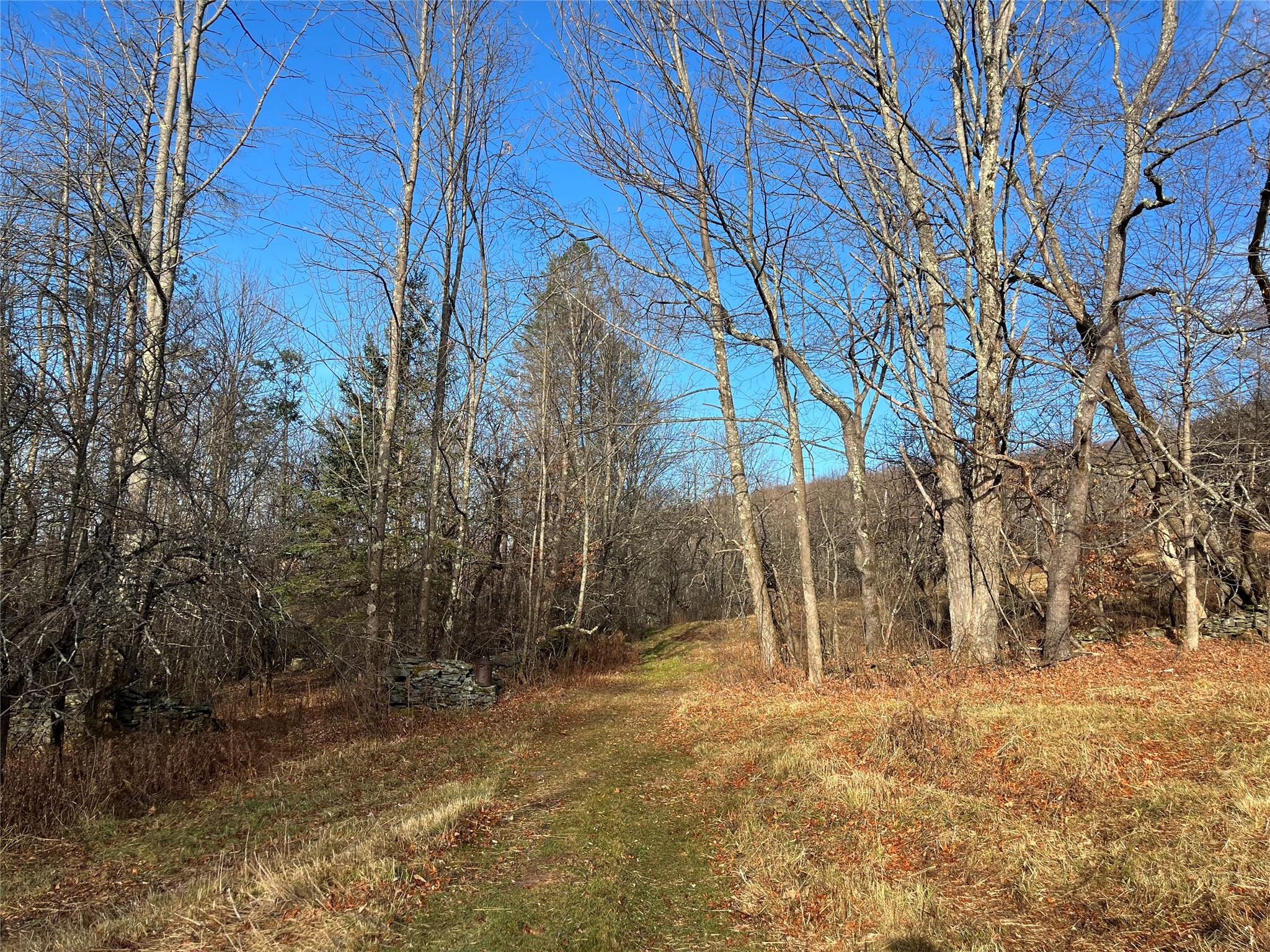 Huckleberry Brook Rd, Margaretville, New York image 1