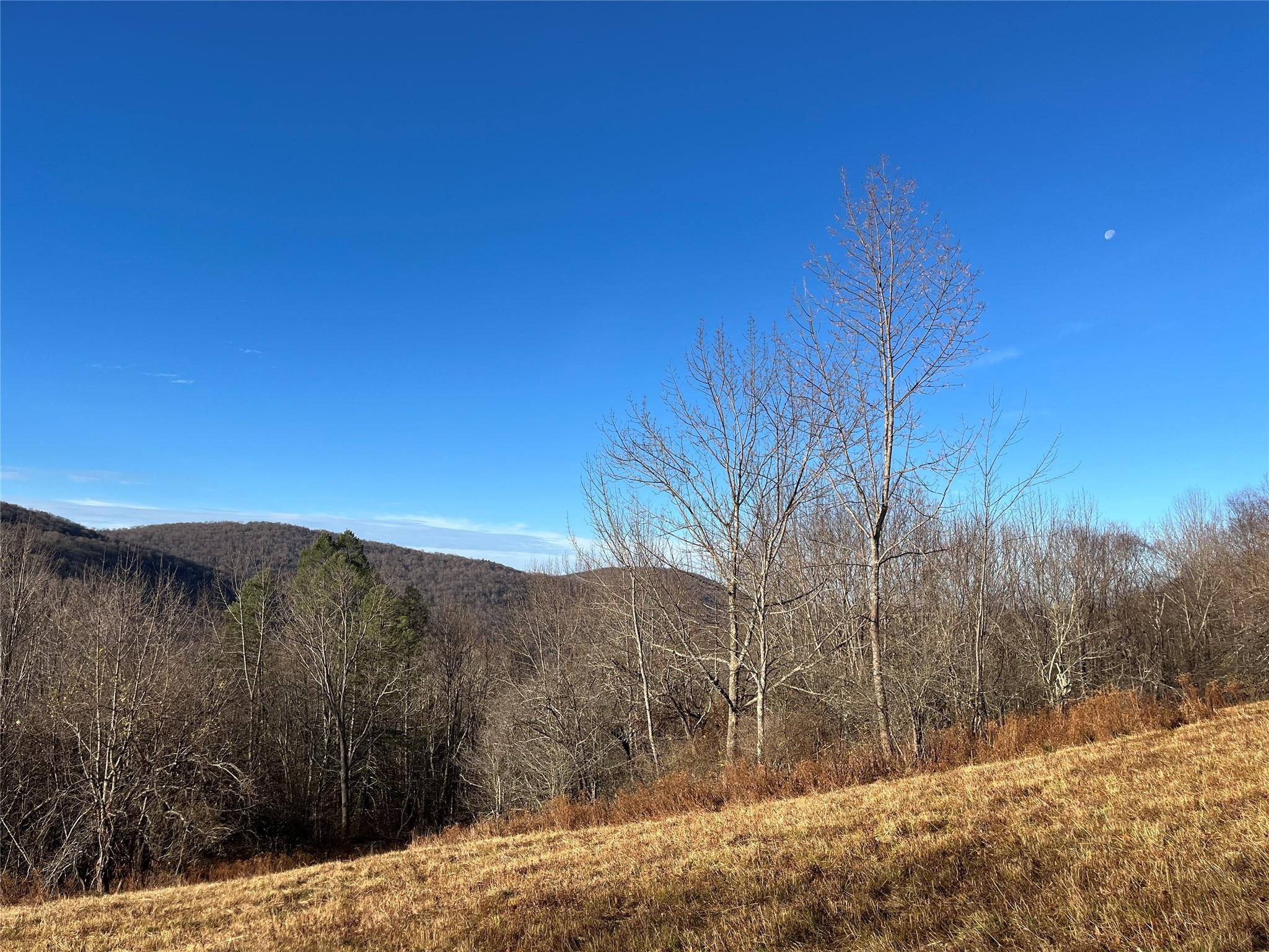 Huckleberry Brook Rd, Margaretville, New York image 3