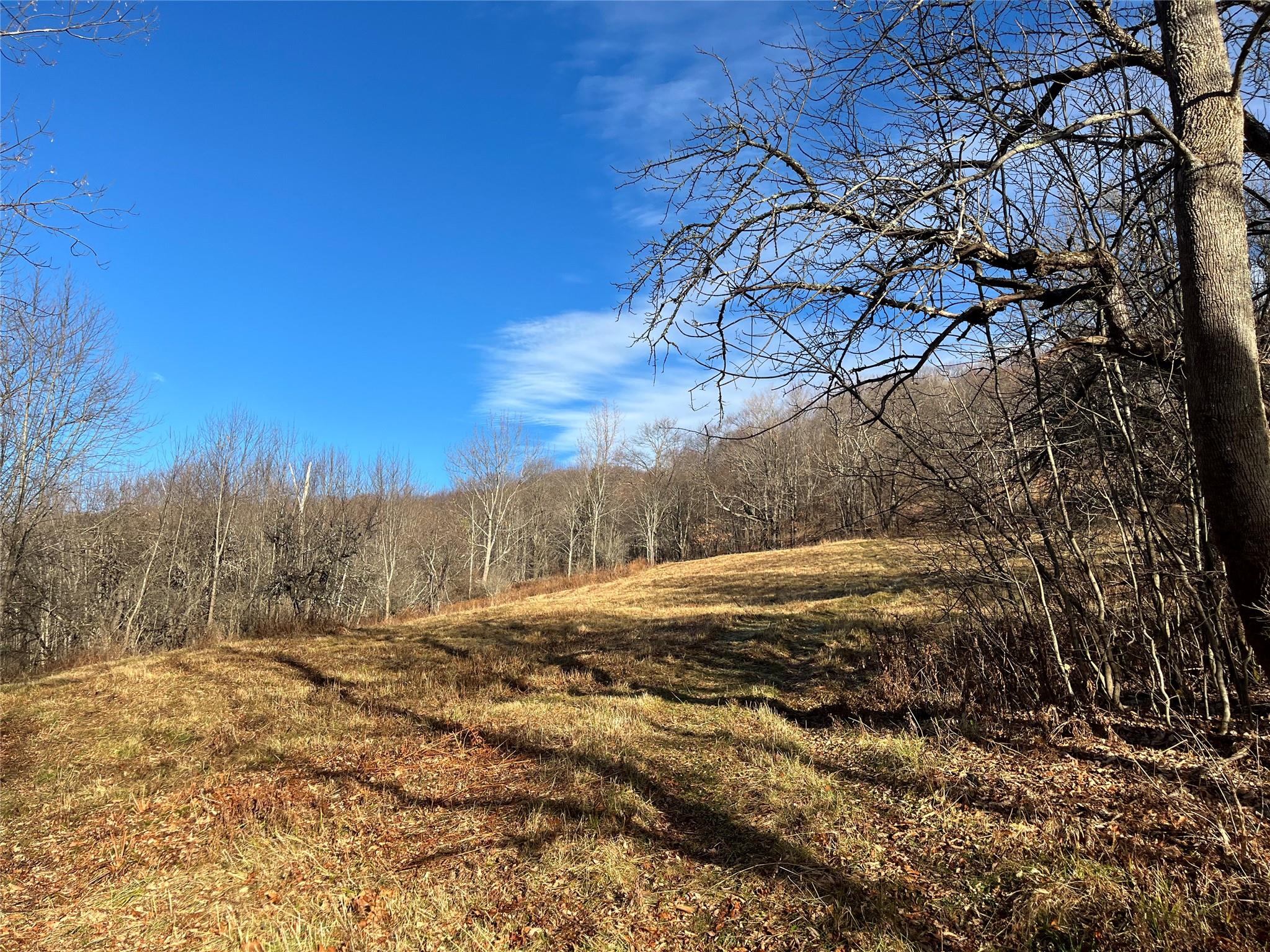 Huckleberry Brook Rd, Margaretville, New York image 2