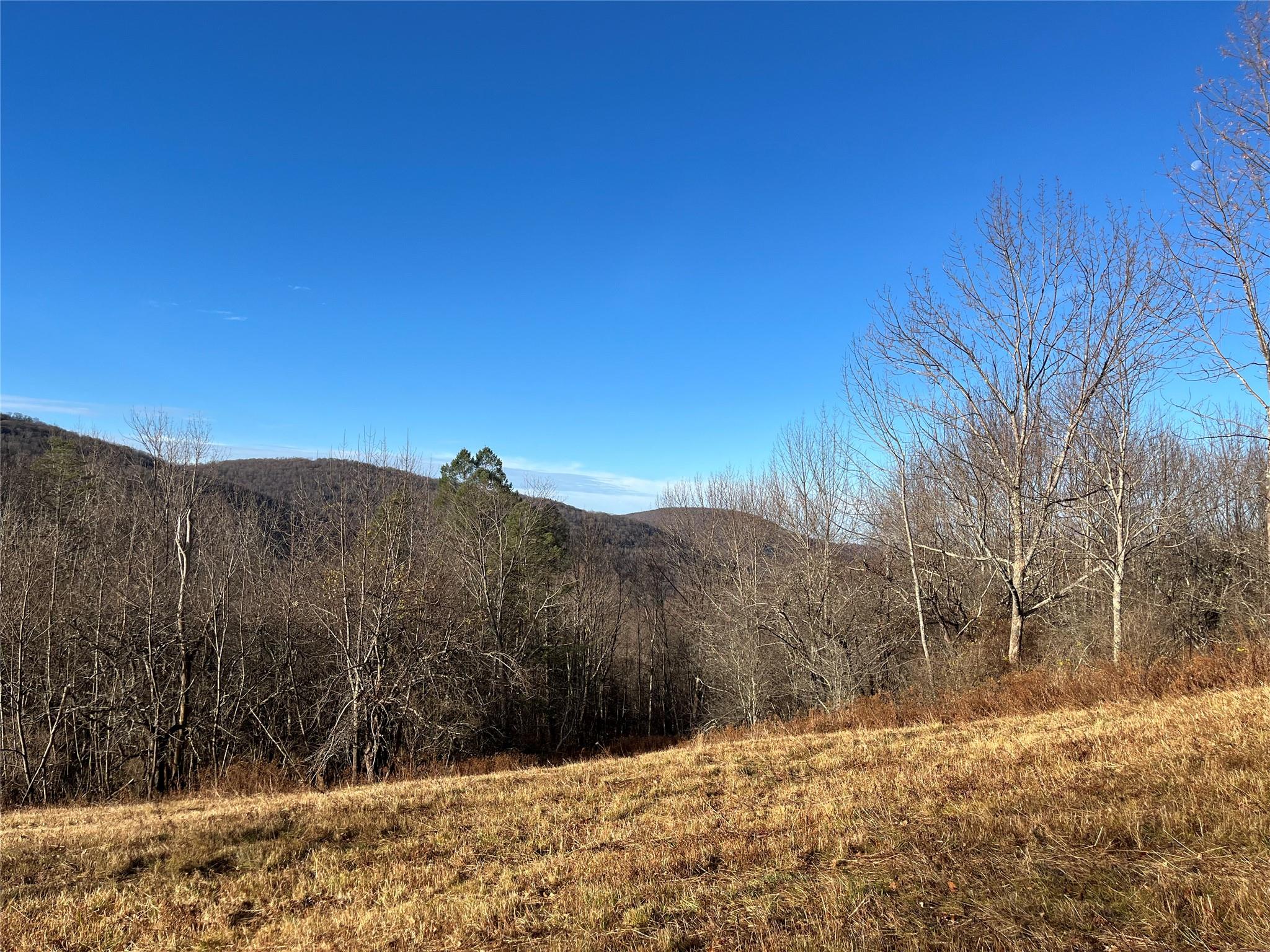 Huckleberry Brook Rd, Margaretville, New York image 4