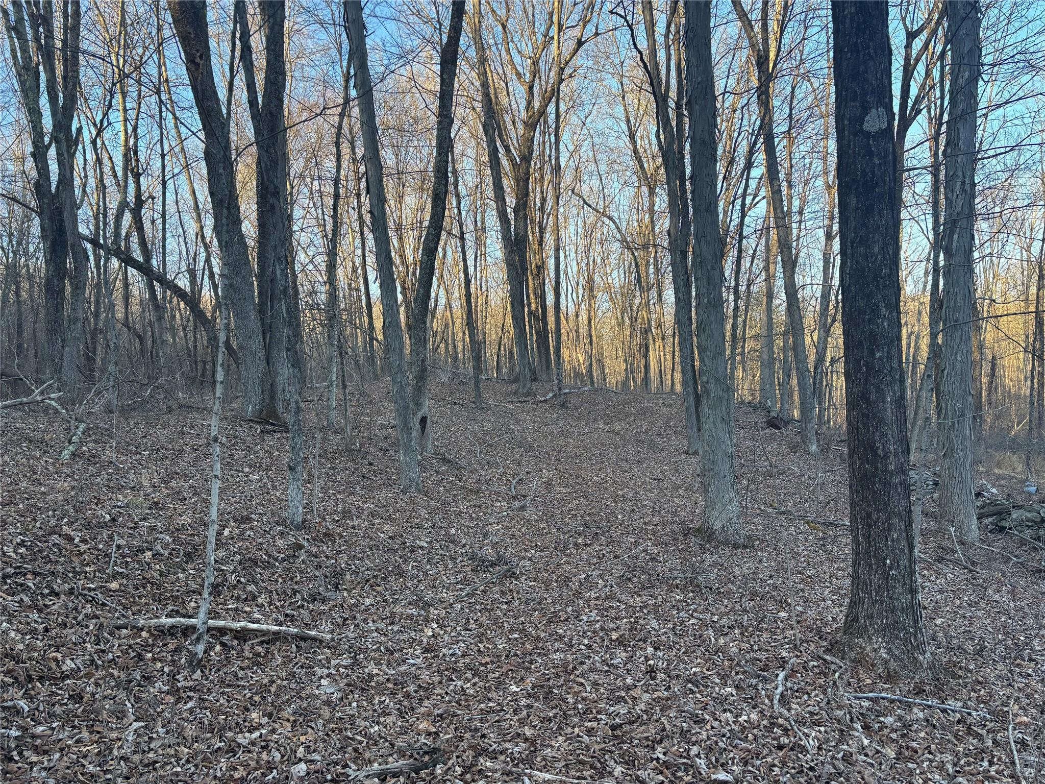 Barkit Kennel Rd, Pleasant Valley, New York image 5