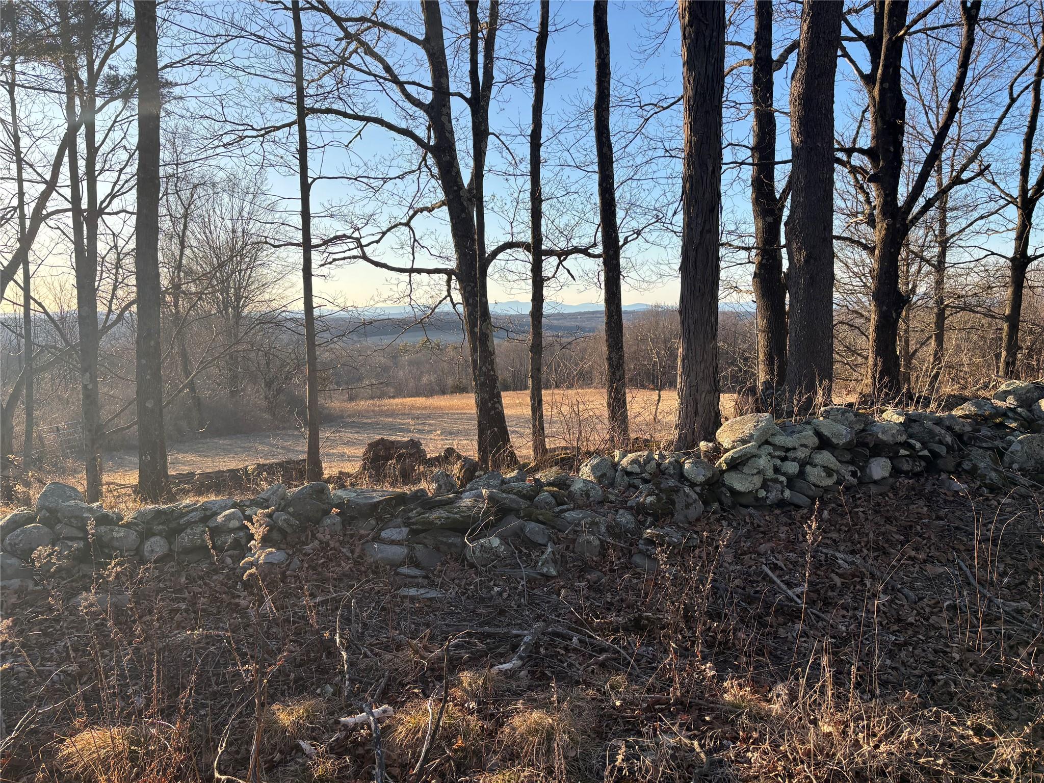 Barkit Kennel Rd, Pleasant Valley, New York image 7