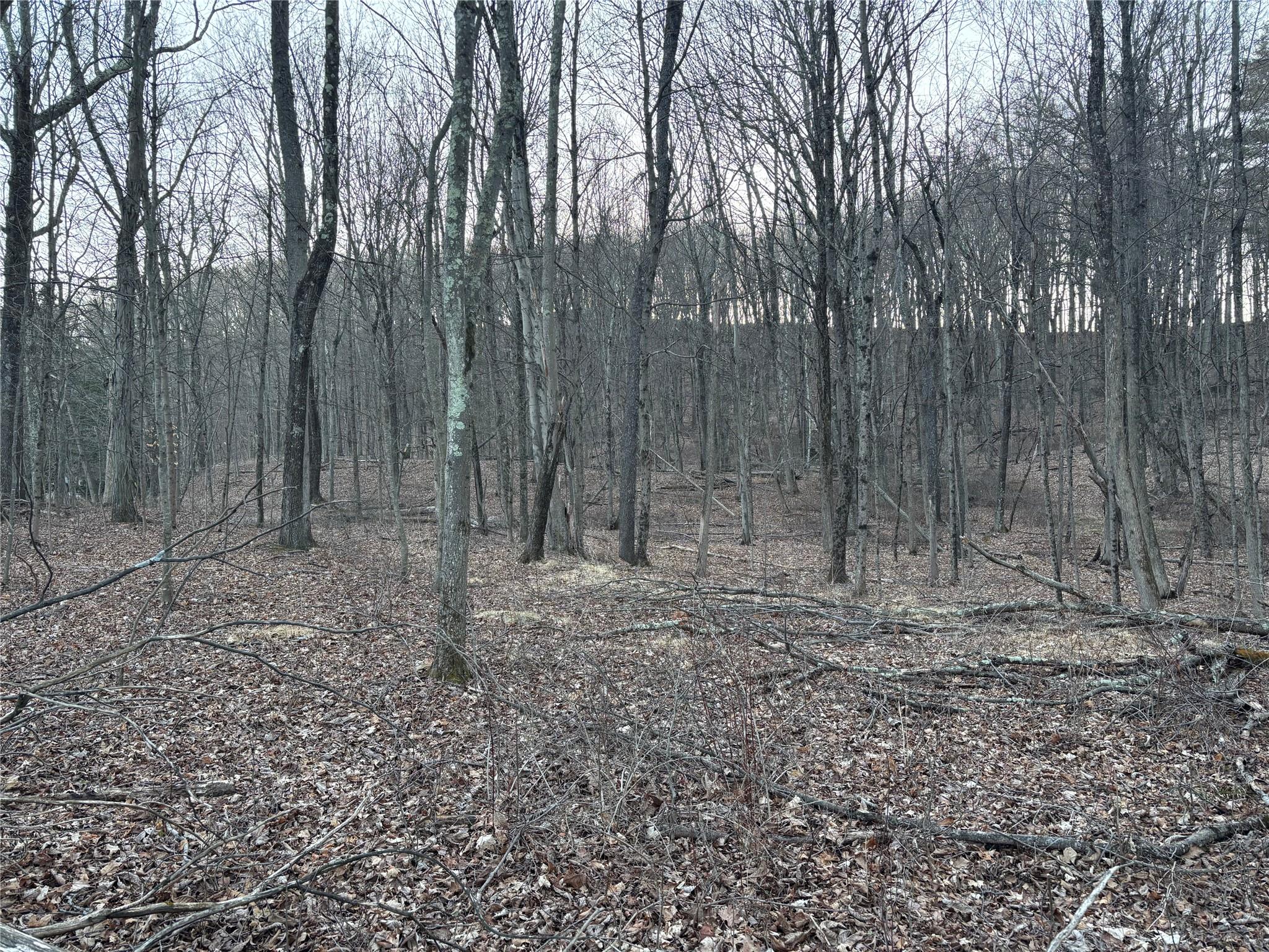 Barkit Kennel Rd, Pleasant Valley, New York image 8