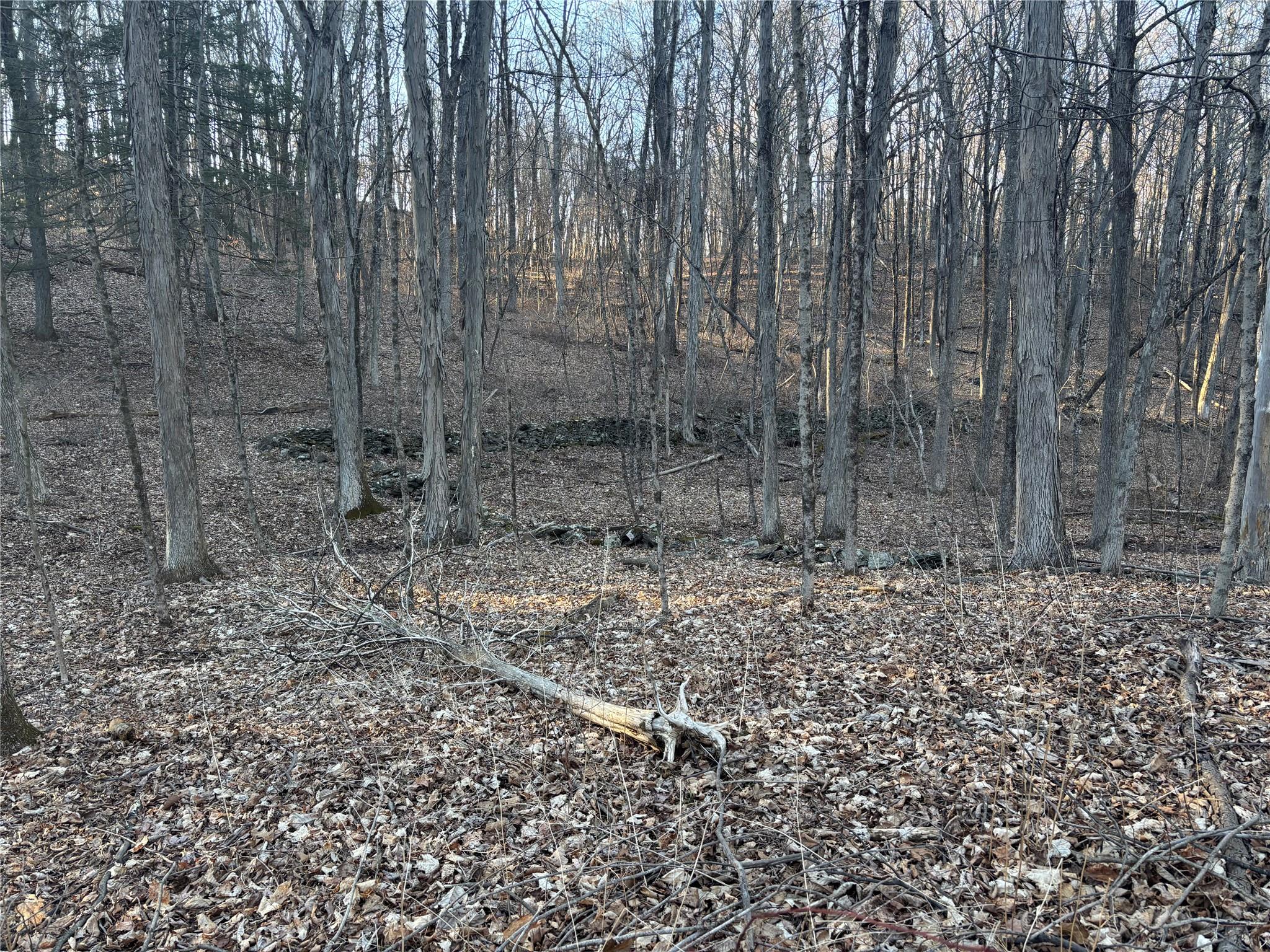 Barkit Kennel Rd, Pleasant Valley, New York image 6