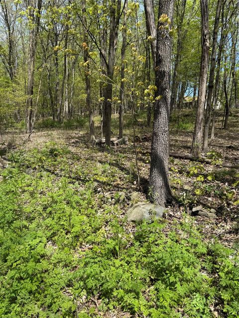 Vacant Land For Sale - 120 Floyd Ackert Road<br/> Esopus, NY 12493