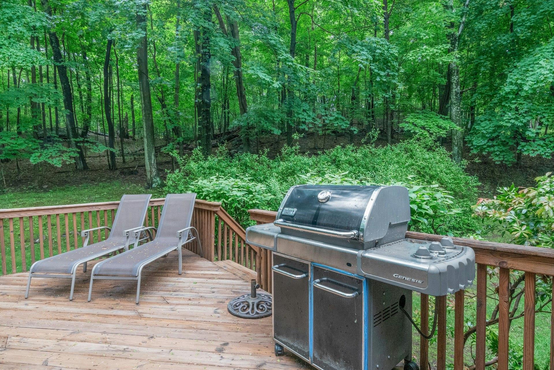 341 Millwood Road, Chappaqua, New York image 25