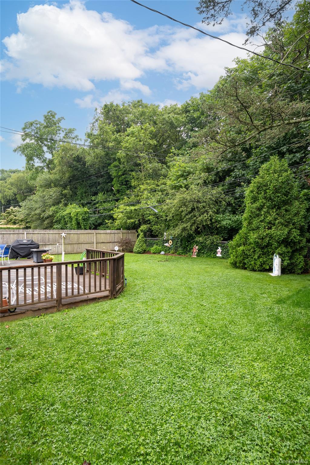 304 Jamaica Boulevard