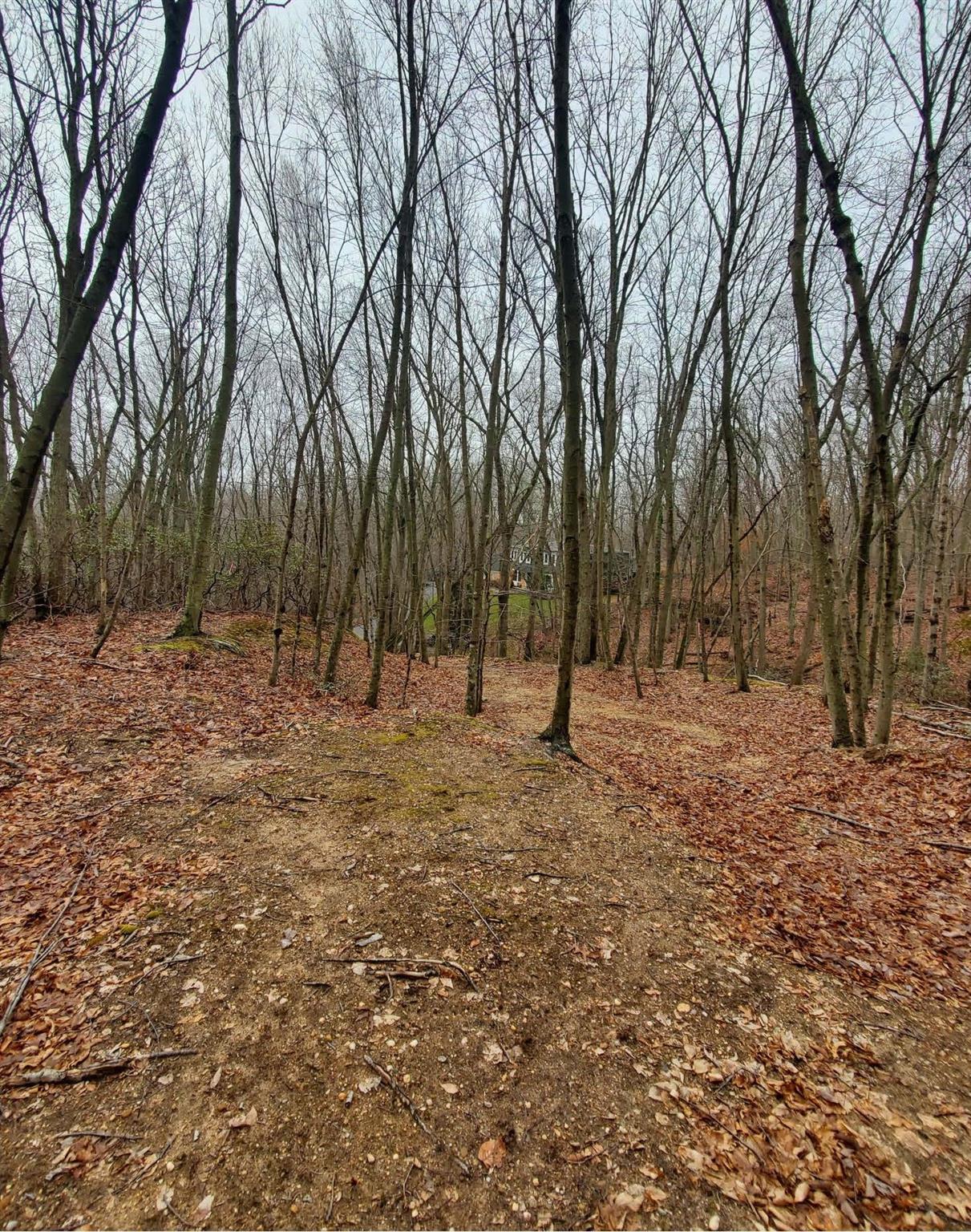 260 Old Mill Road, Saint James, New York image 4