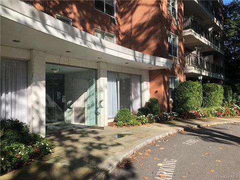 177 E Hartsdale Avenue 4X Hartsdale NY 10530