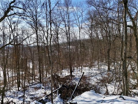 TBD County Route 12 New Hampton NY 10958