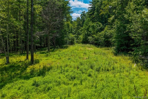Vacant Land For Sale - 153 Roosevelt Avenue<br/> Cairo, NY 12413