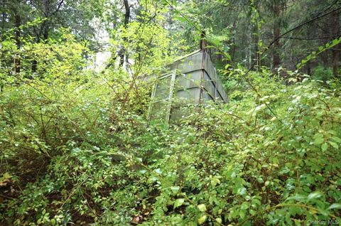 6067 Route 81 Greenville NY 12083