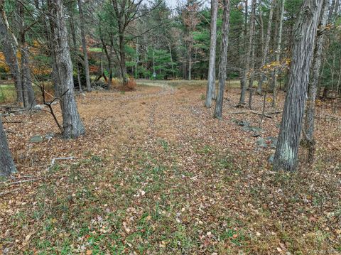 Vacant Land For Sale - 742 Peenpack Trail<br/> Sparrowbush, NY 12780