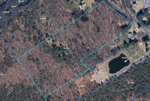 TBD Old Sackett Road Rock Hill NY 12775