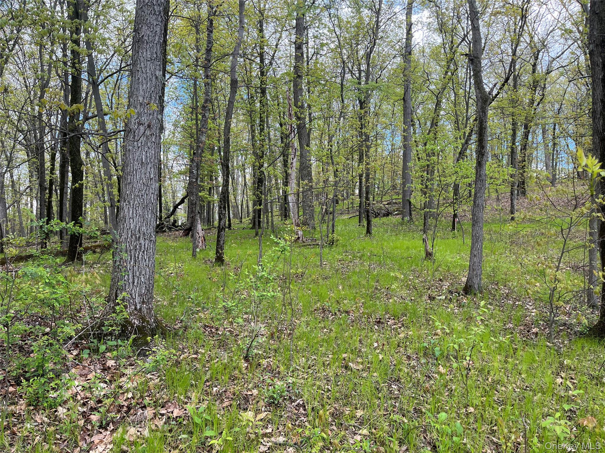 TBD Cold Spring Road Cold Spring Road