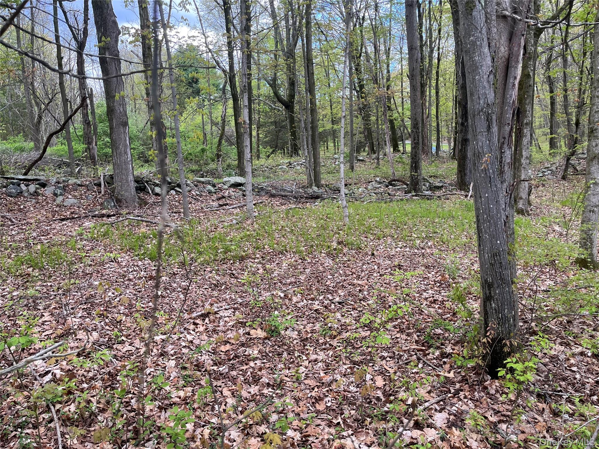 TBD Cold Spring Road Cold Spring Road