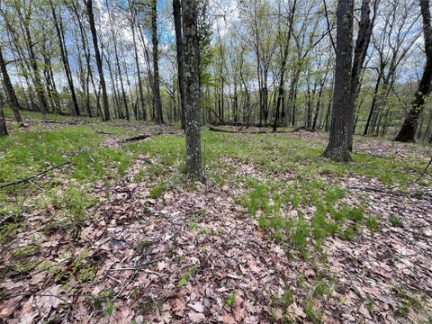 Vacant Land For Sale - Cold Spring Road<br/> Clinton Corners, NY 12514