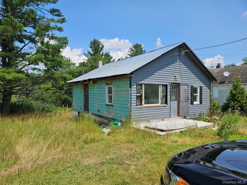 Homes For Sale - 625 Briscoe Road<br/> Swan Lake, NY 12783