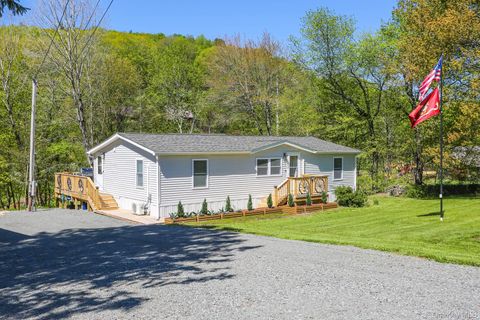463 County Road 131 Callicoon NY 12723