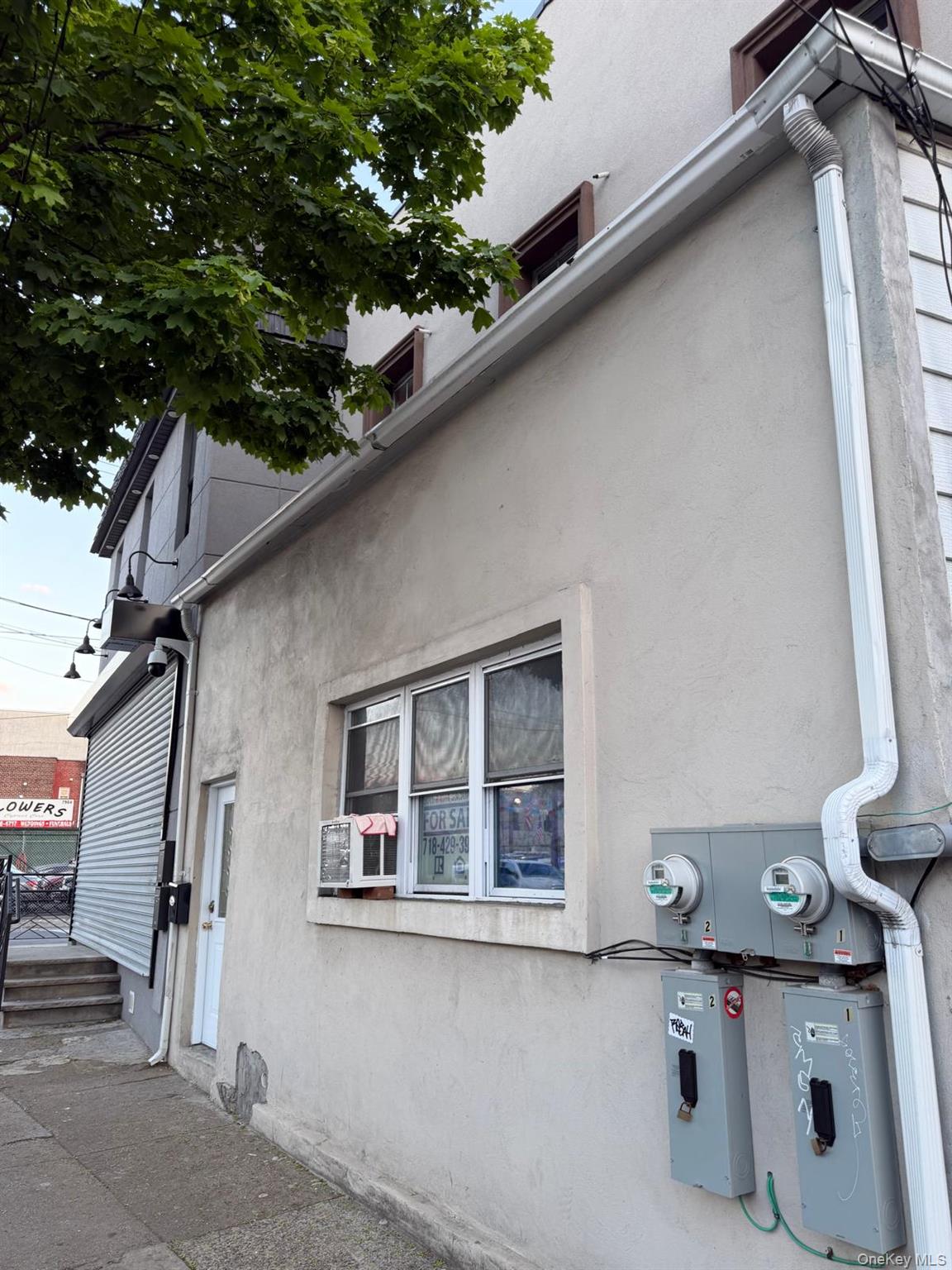 78-08 Cypress Avenue
