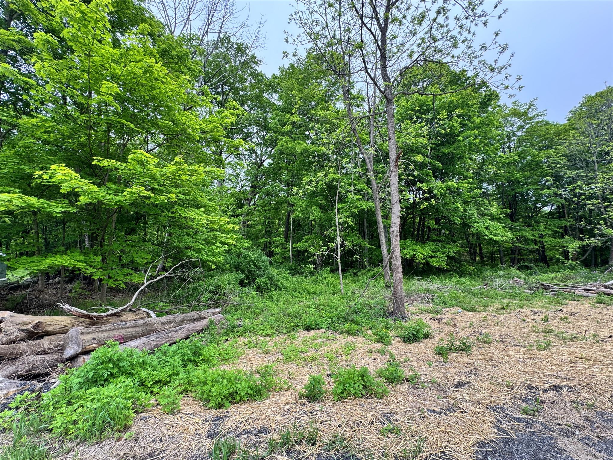 Route 292 Rd, Holmes, New York image 5