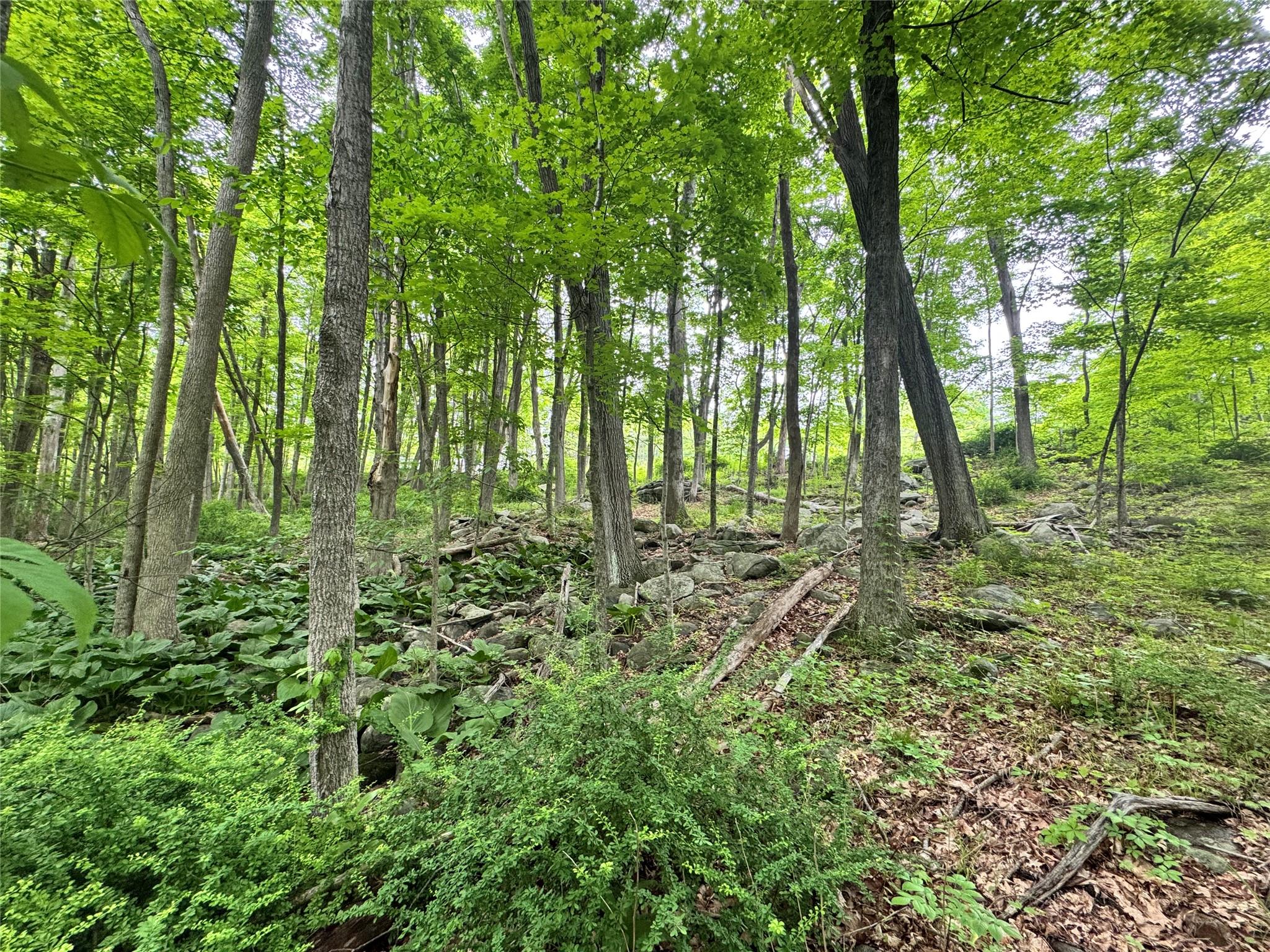 Route 292 Rd, Holmes, New York image 4