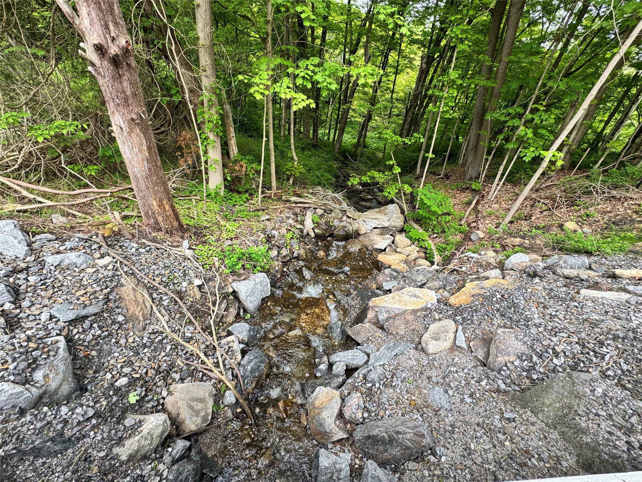 Route 292 Rd, Holmes, New York image 14