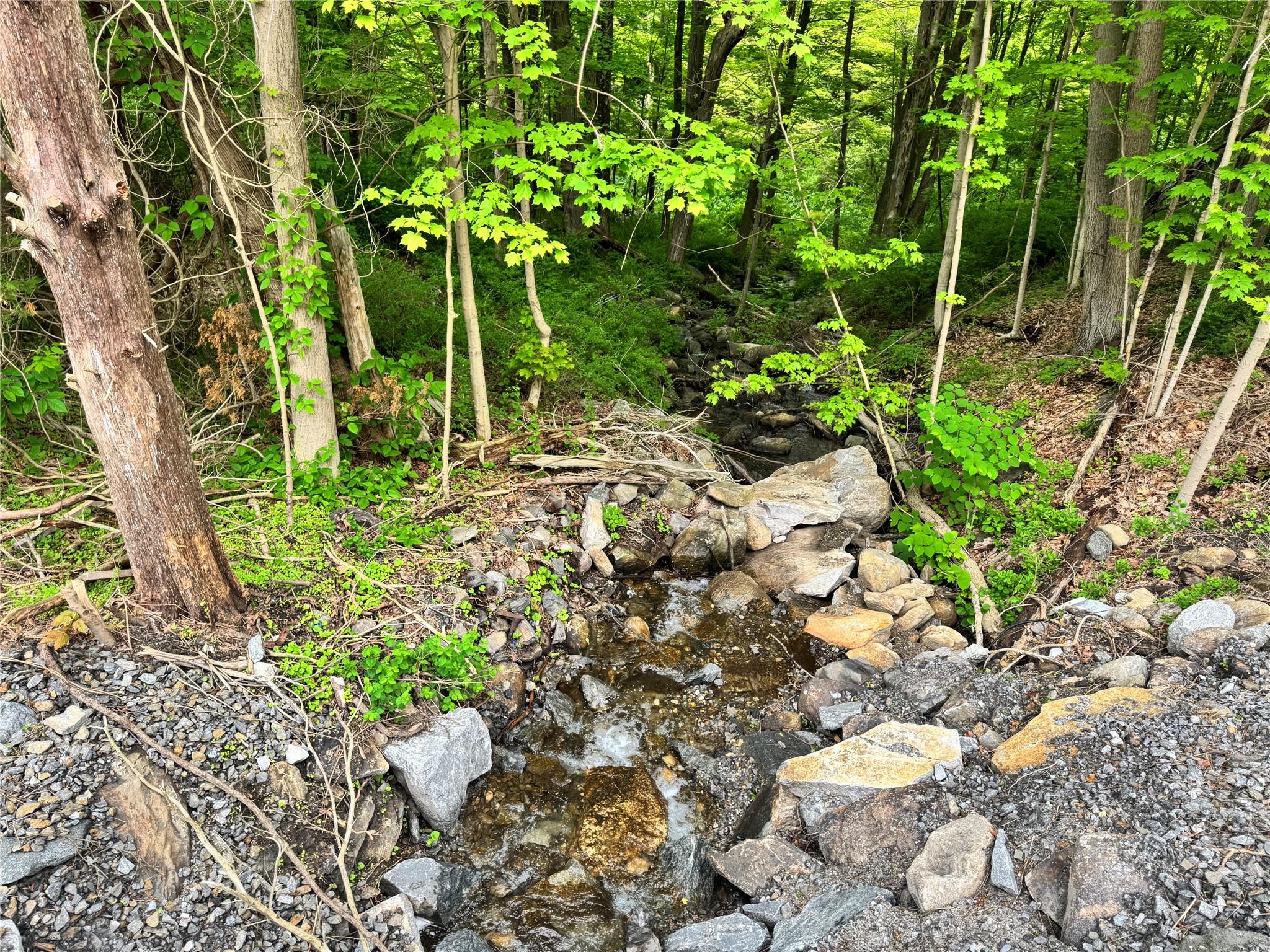 Route 292 Rd, Holmes, New York image 17