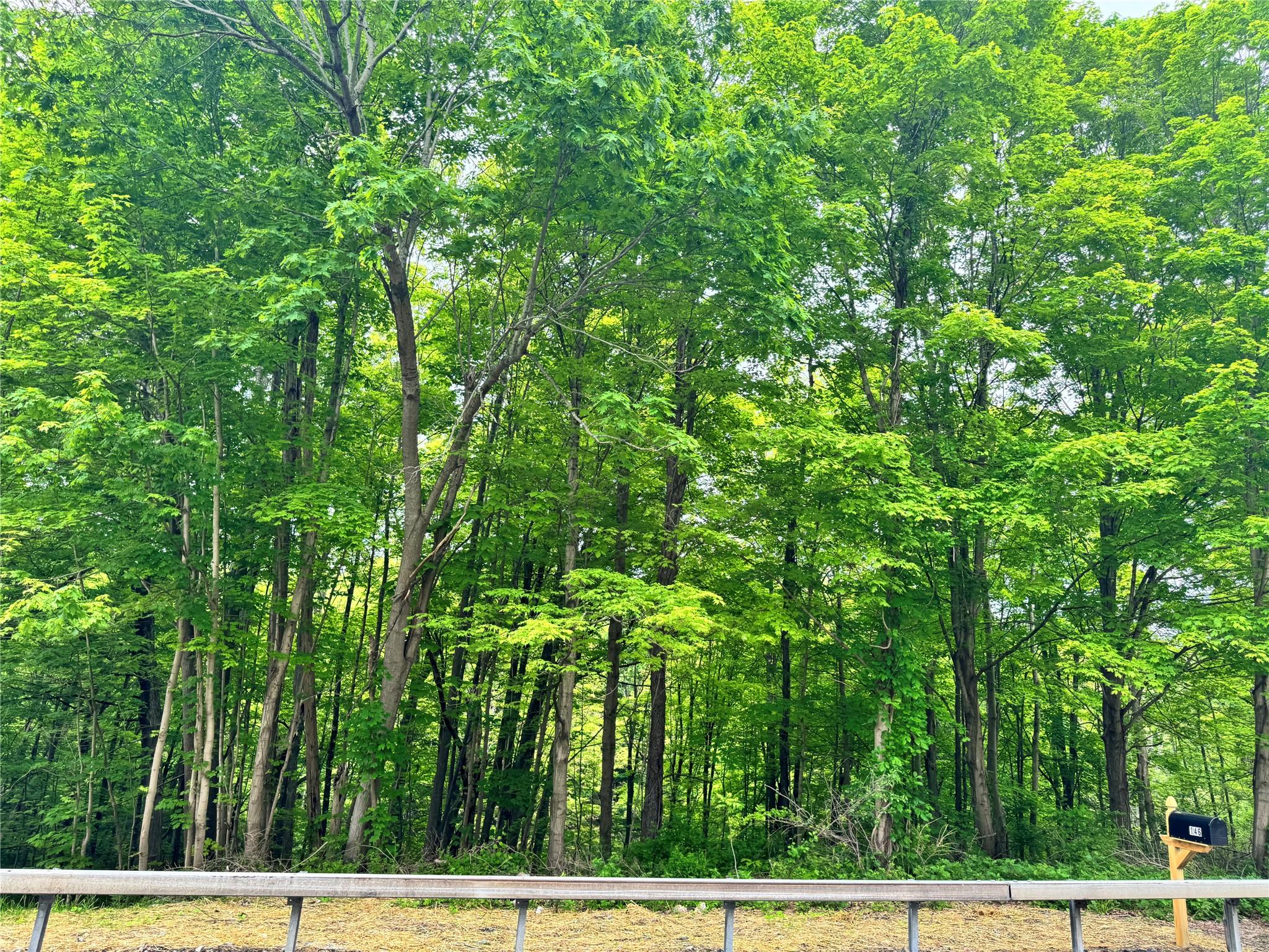 Route 292 Rd, Holmes, New York image 18