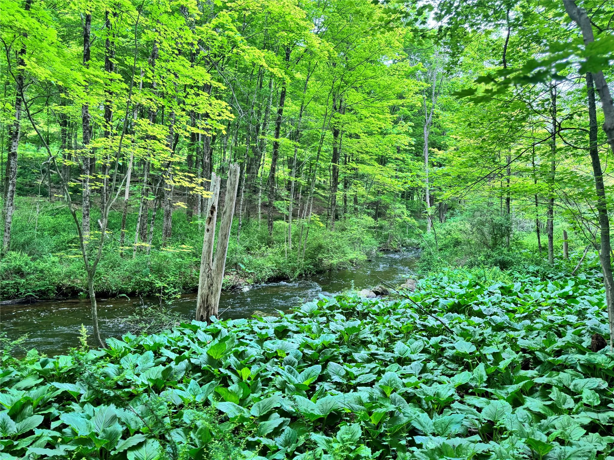 Route 292 Rd, Holmes, New York image 9