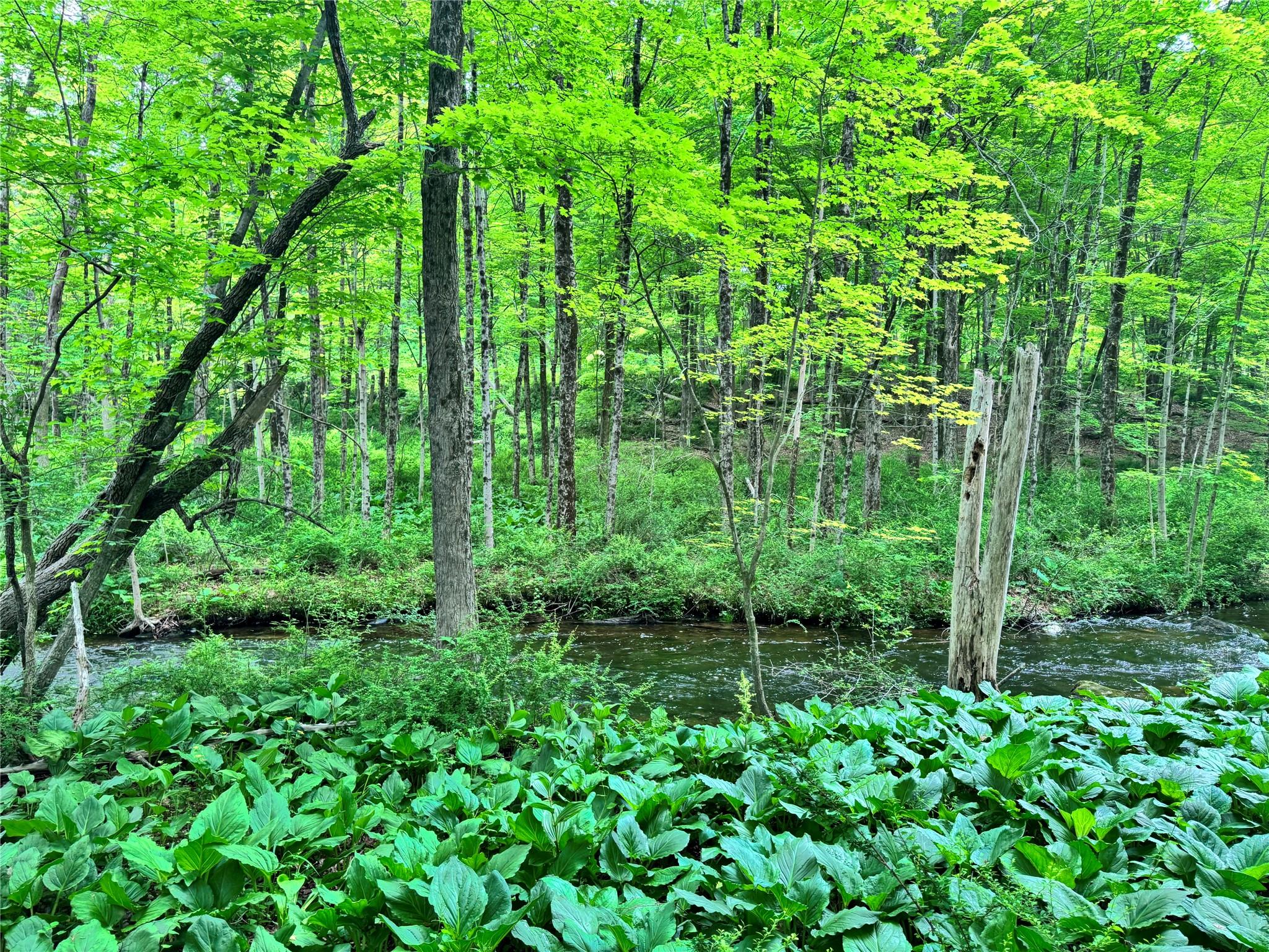 Route 292 Rd, Holmes, New York image 10