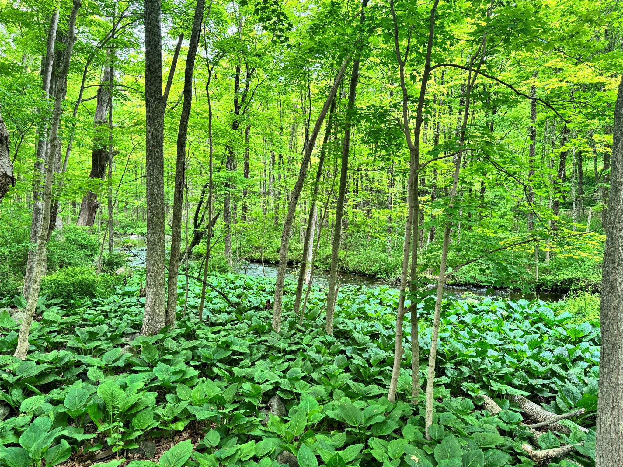 Route 292 Rd, Holmes, New York image 8