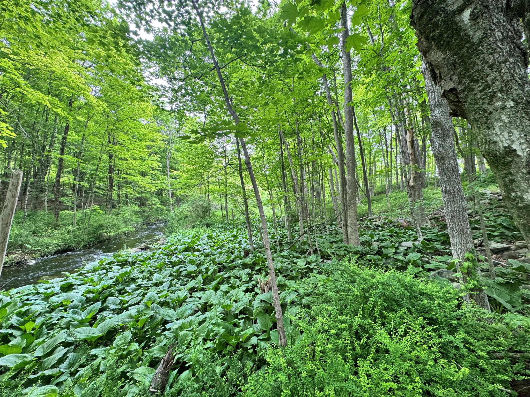 Route 292 Rd, Holmes, New York image 13