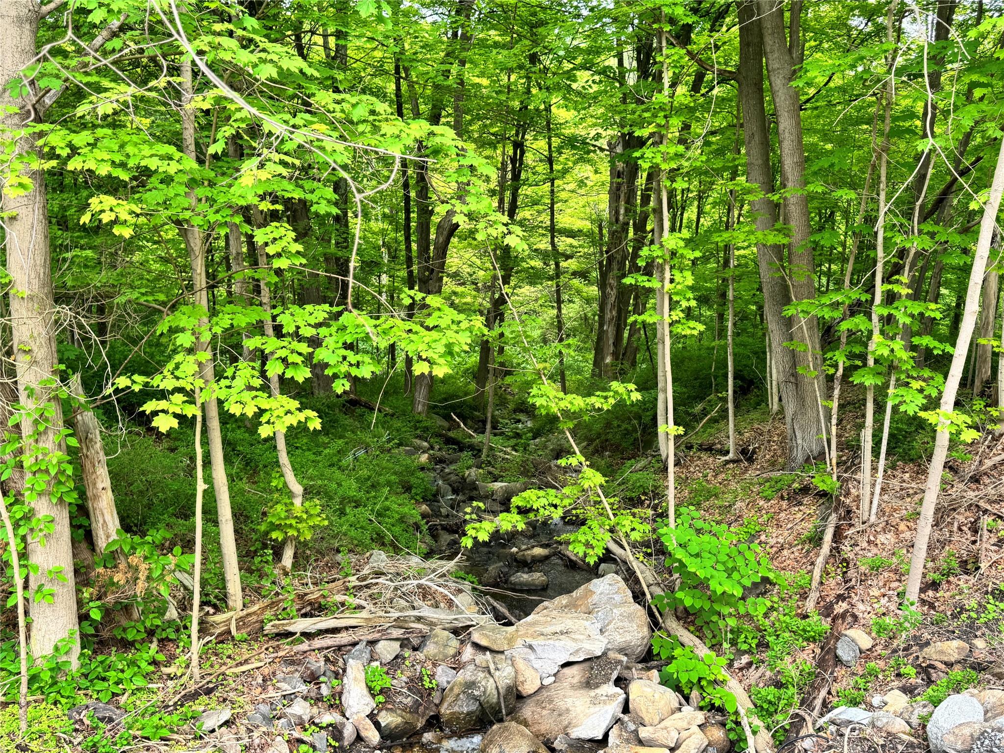 Route 292 Rd, Holmes, New York image 16