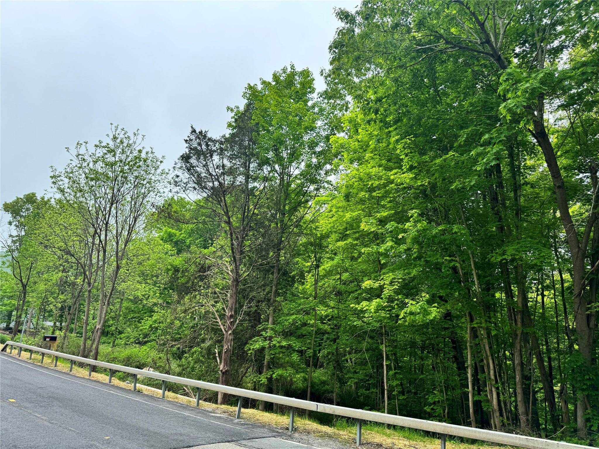 Route 292 Rd, Holmes, New York image 24