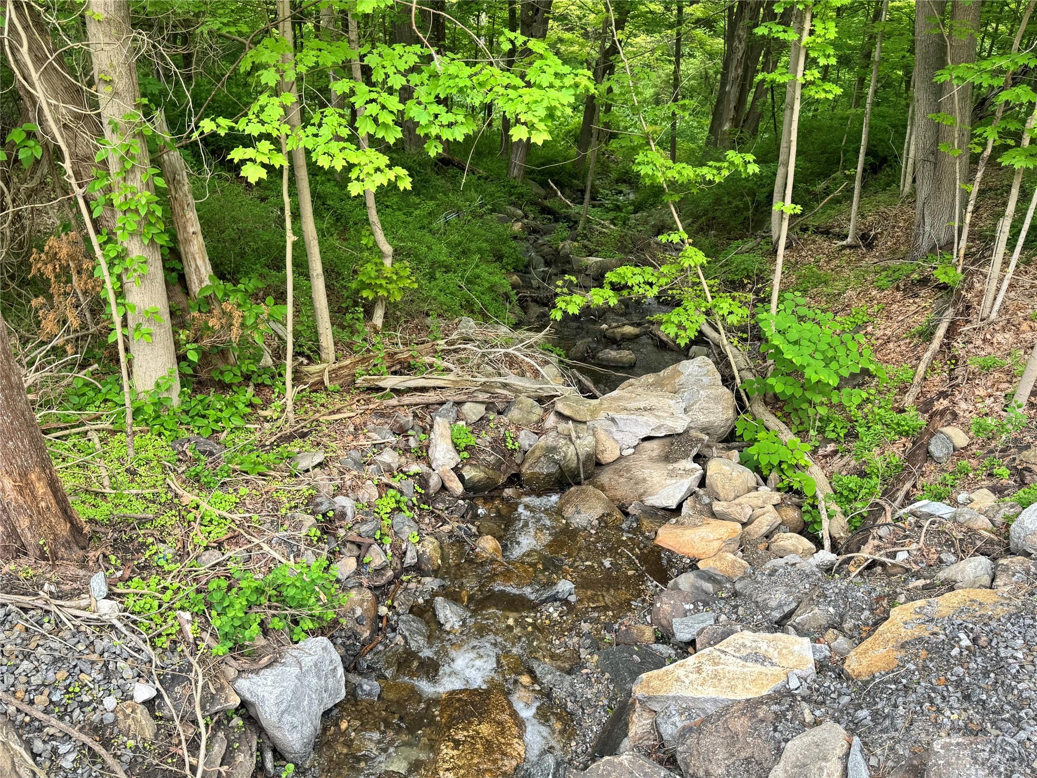 Route 292 Rd, Holmes, New York image 15