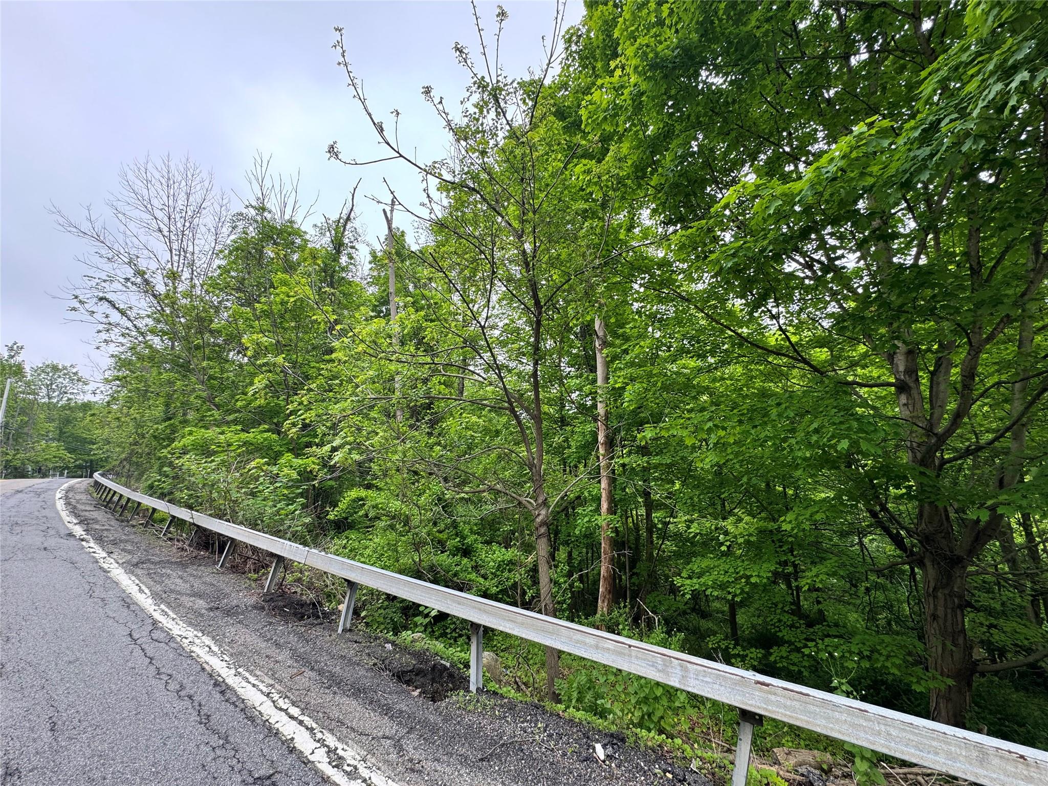 Route 292 Rd, Holmes, New York image 21