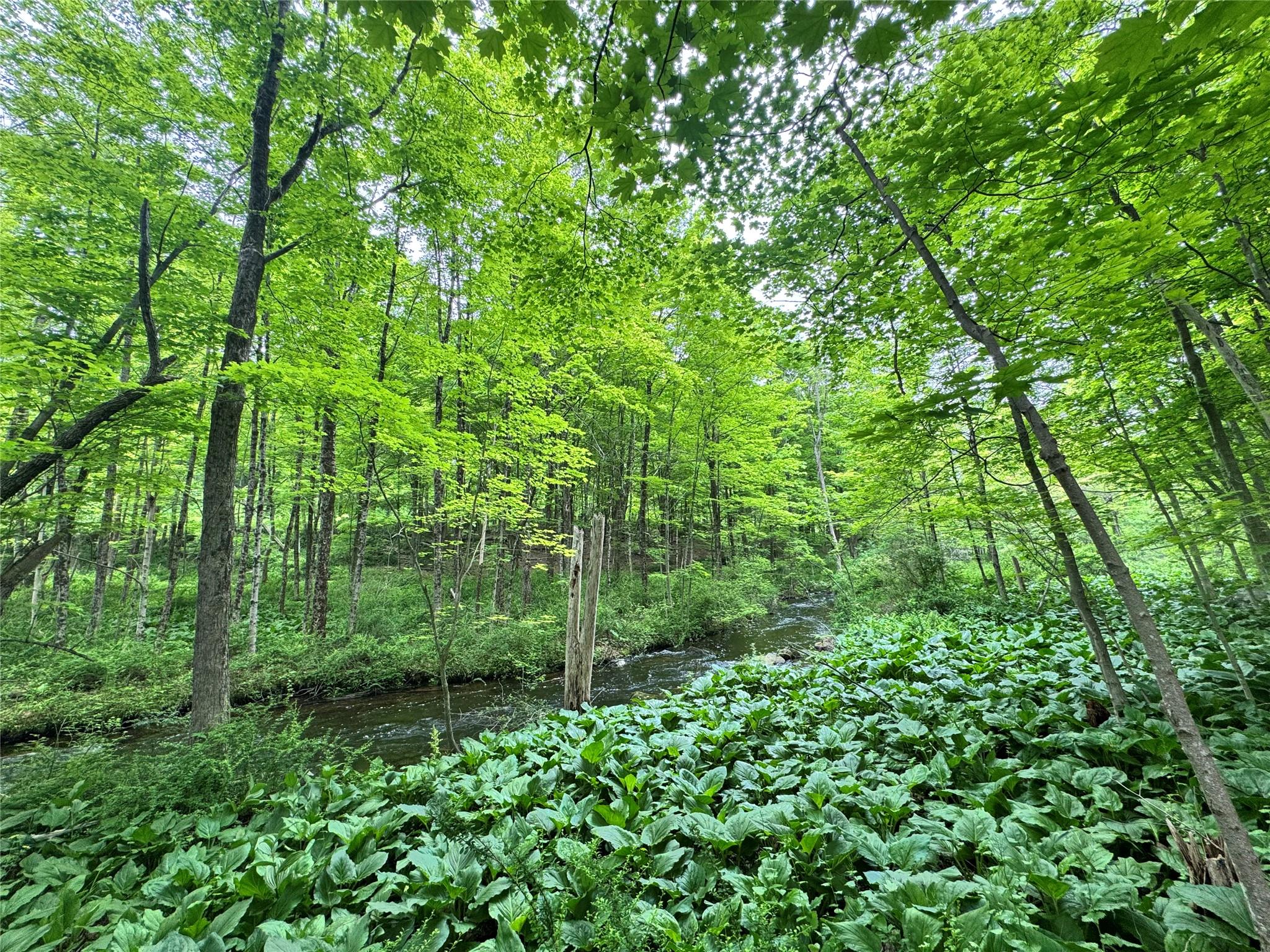 Route 292 Rd, Holmes, New York image 12