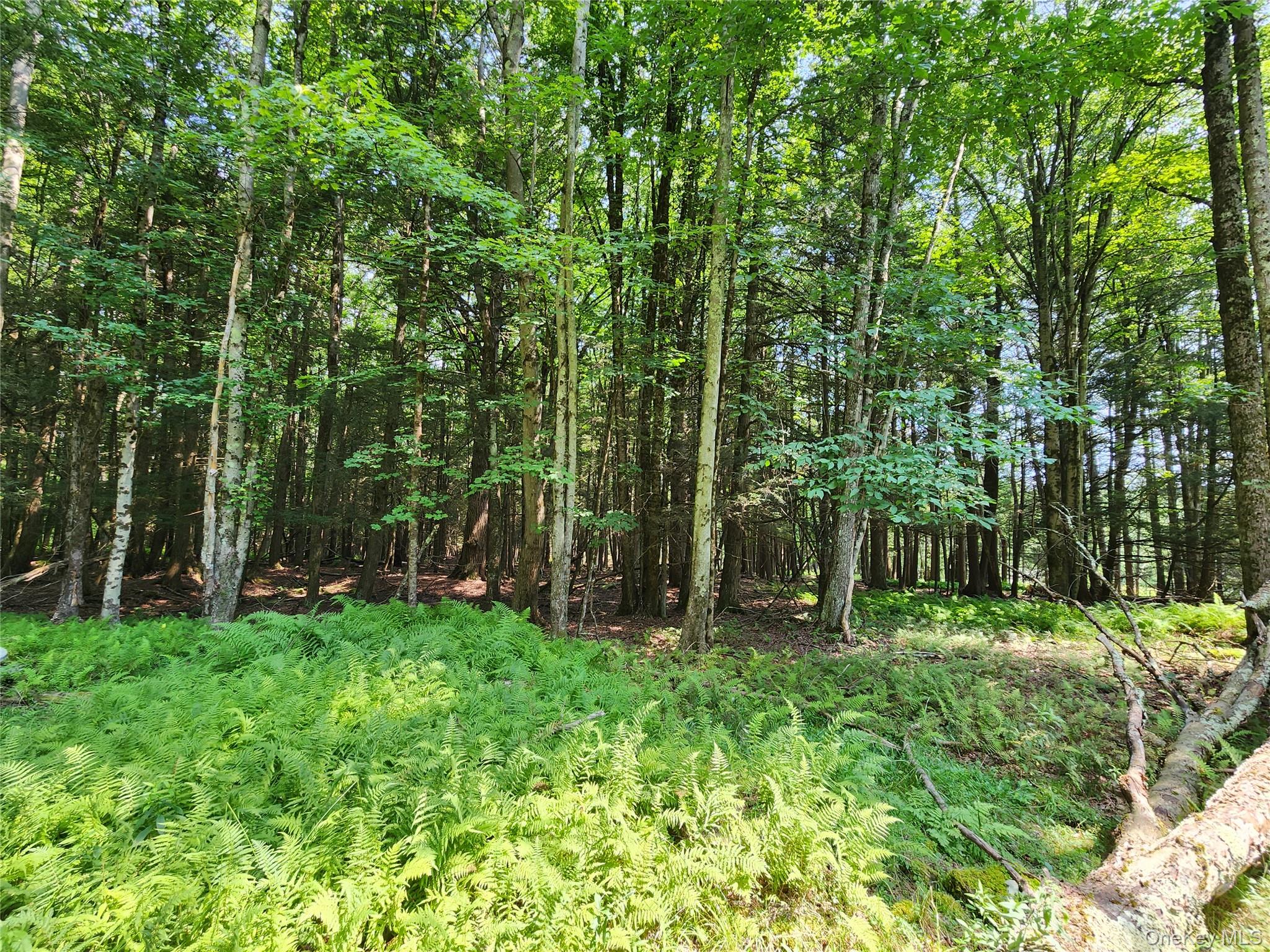 Soule Road