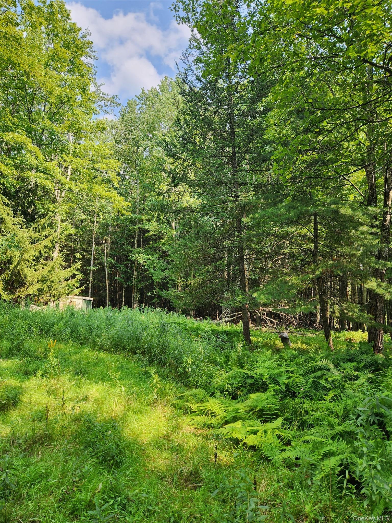 Soule Road