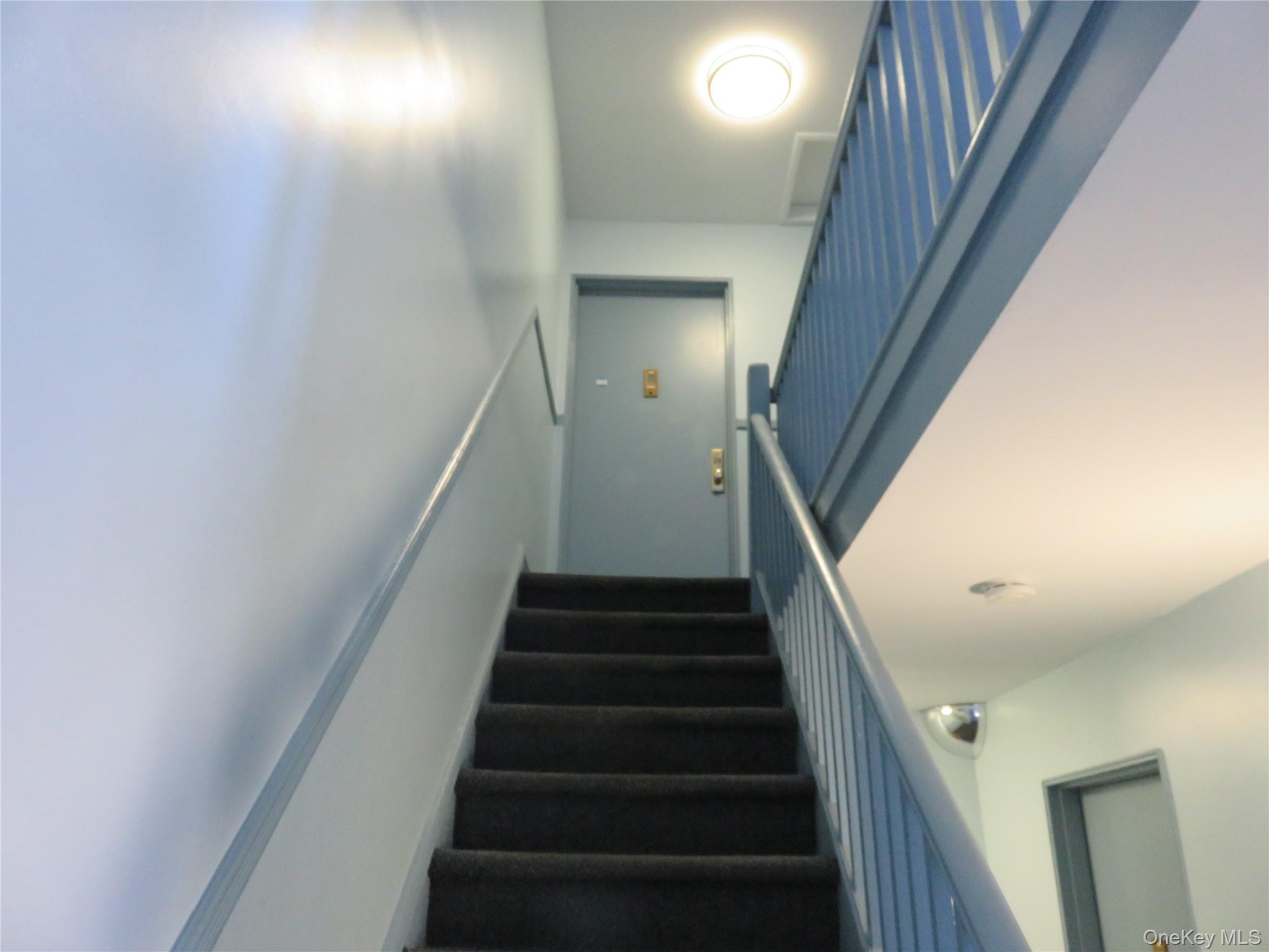 7 Winchester Avenue 2A