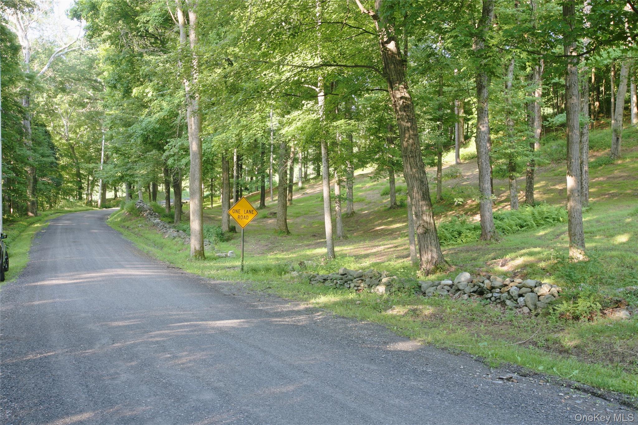 Pond Road