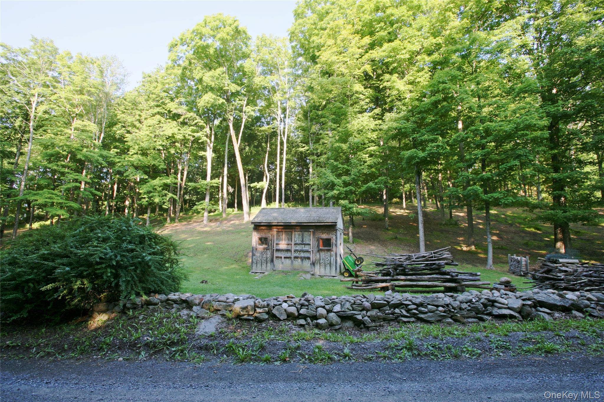 Pond Road